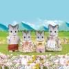 Sylvanian Families Grey Cat Family