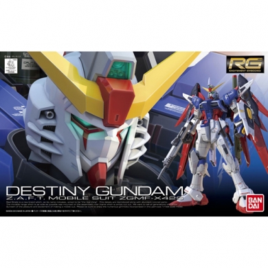 Destiny Gundam RG 1/144 Scale 